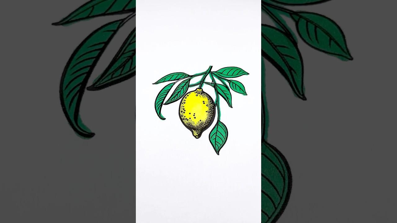 Lemon 🍋 Coloring Pages 