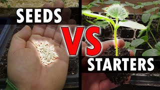 Seeds Vs Starters - Garden Quickie Episode 40