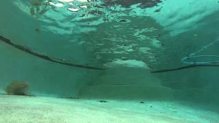 Cast Net falling in water