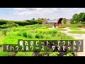【イギリスガーデン旅行記②】サステイナブル植栽で魅了する憧れのガーデン【ガーデニング】