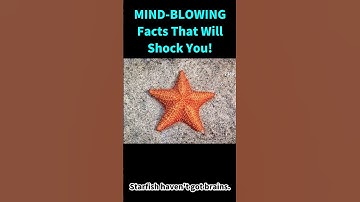 Can you solve this brain teaser? 🔥 #shorts #puzzle #iq