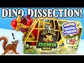 Treasure X Dino Gold Red T Rex Dissection with Exclusive Hunter!