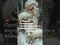 🔥 Имболк: Пробуждение внутреннего света и обещание весны 🌱Имболк #Imbolc #КолесоГода #ДеньСвечей