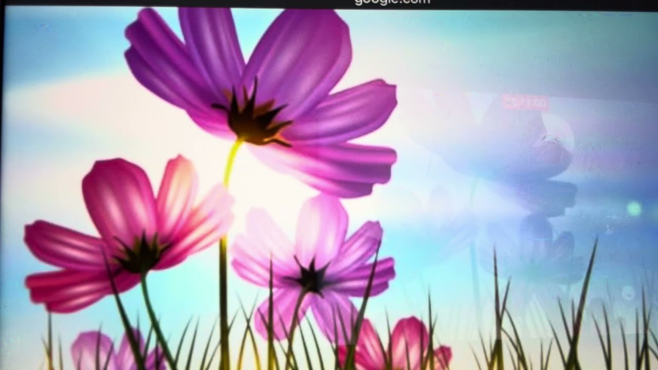 (47) Tâm Tình... Đọc Truyện... Ngủ Êm...