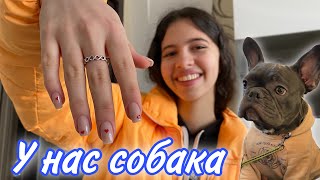 ВЛОГ У НАС СОБАКА НАСТЯ СДЕЛАЛА НОВЫЙ МАНИКЮР 