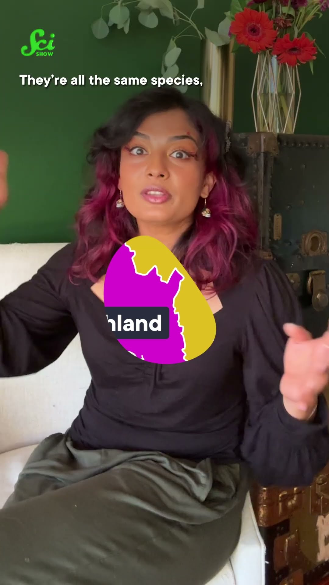 How Do We Chart Missing Rivers? Ask Fish! #science #scishow #geography #newzealand