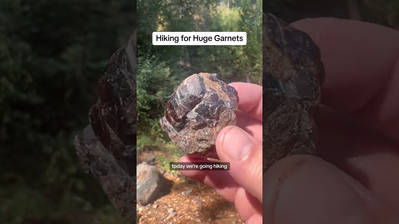 Rockhounding Garnet! #garnet #crystals #gemstones #gems #geology #hike #hiking #geode #rockhound #ca