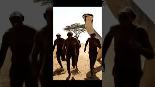 Ancient Hunter Becomes Hunted Pythons Relentless Pursuit Of Australopithecus
