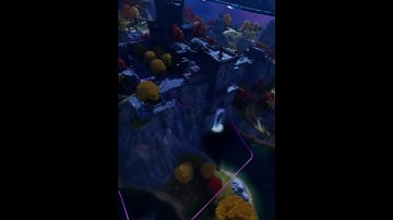 Grind Rails in The Citadel?