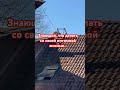 Чужая
