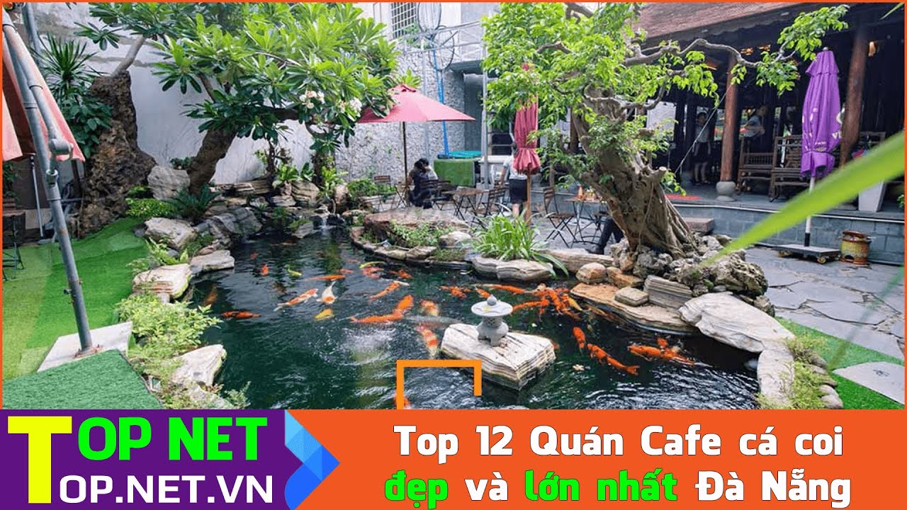 các quán cà phê hộp ở đà nẵng 2022 Update Top 12 Quán Cafe cá Koi đẹp và lớn nhất Đà Nẵng