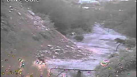 Javelina can run fast!!!