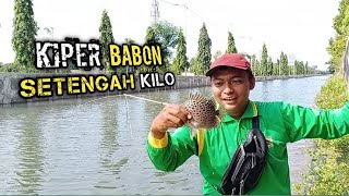Ep. 43 FISHING IN A SHALLOW RIVER, SEE THE RESULTS..!!