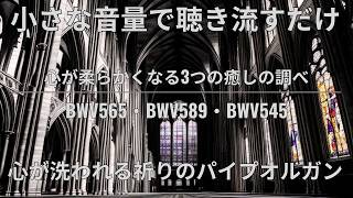 魂が洗われる神秘の音色】天使の祈りが響く教会の音色～心が落ち着く