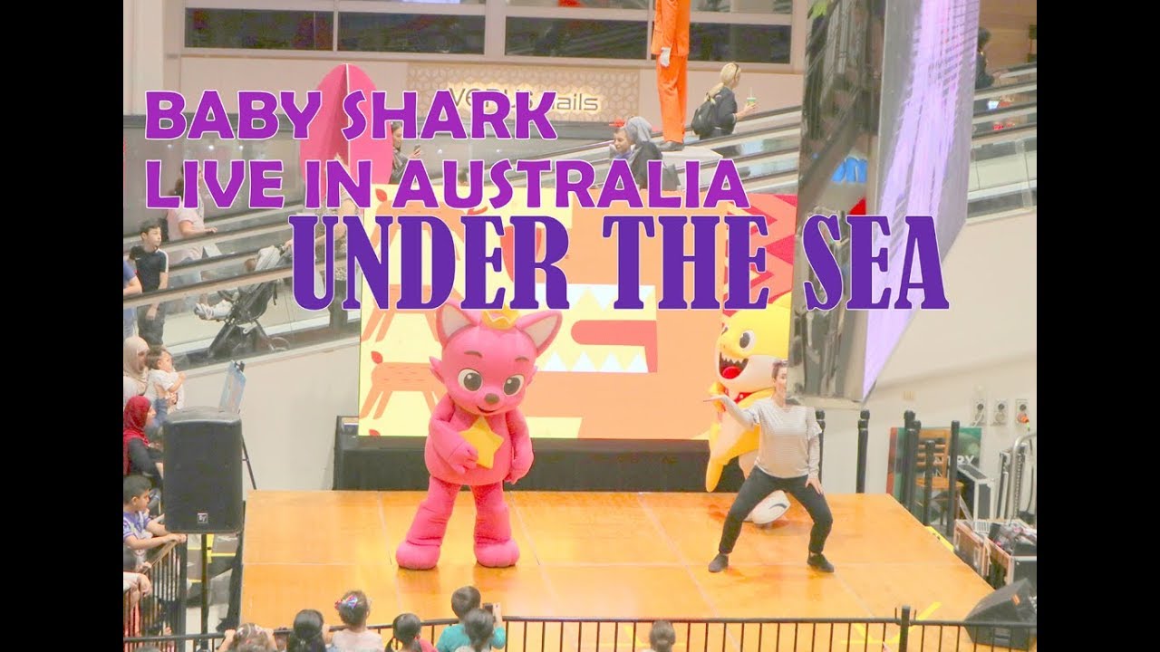 LIVE SHOW IN AUSTRALIA IUnder the Sea | Animal Songs | PINKFONG Songs for Children