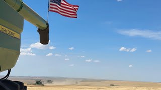Easing Into The Chaos / Day 2 Highwood, Montana 2026 Wheat Harvest 