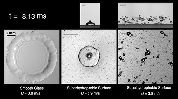 How a raindrop gets shattered on biological surfaces 4
