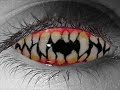 【閲覧注意】半年ぶりにコンタクト外したらこうなる【衝撃的】