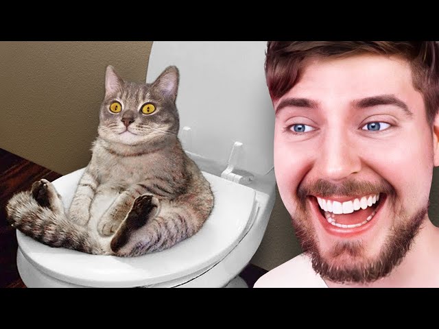 Impossible Try Not To Laugh Challenge! class=