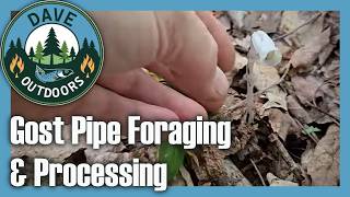 Foraging & Processing Wild Mushrooms & Ghost Pipe