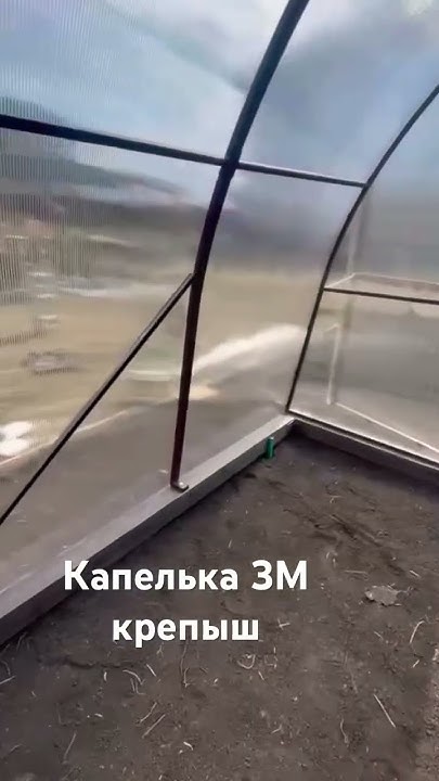 Капелька 3М крепыш #уральскаяусадьба #теплицыизполикарбоната #теплицы # ...