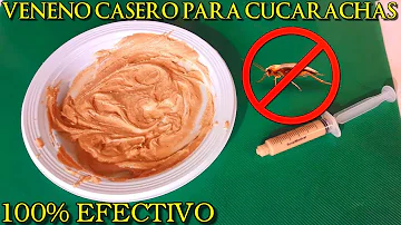 ¿Cómo se envenena una cucaracha?