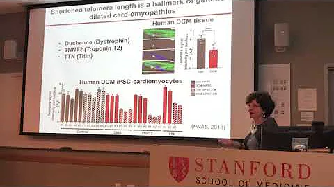 Helen Blau (Stanford) on "Stem Cells" at a Stanfor...