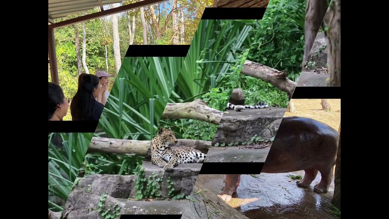 สวนสัตว์เด้ออ