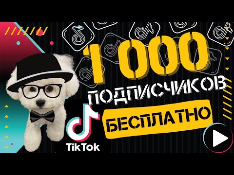 КАК НАКРУТИТЬ ПОДПИСЧИКОВ В ТИК ТОК БЕСПЛАТНО 2023 | НАКРУТКА ПОДПИСЧИКОВ В ТИК ТОК