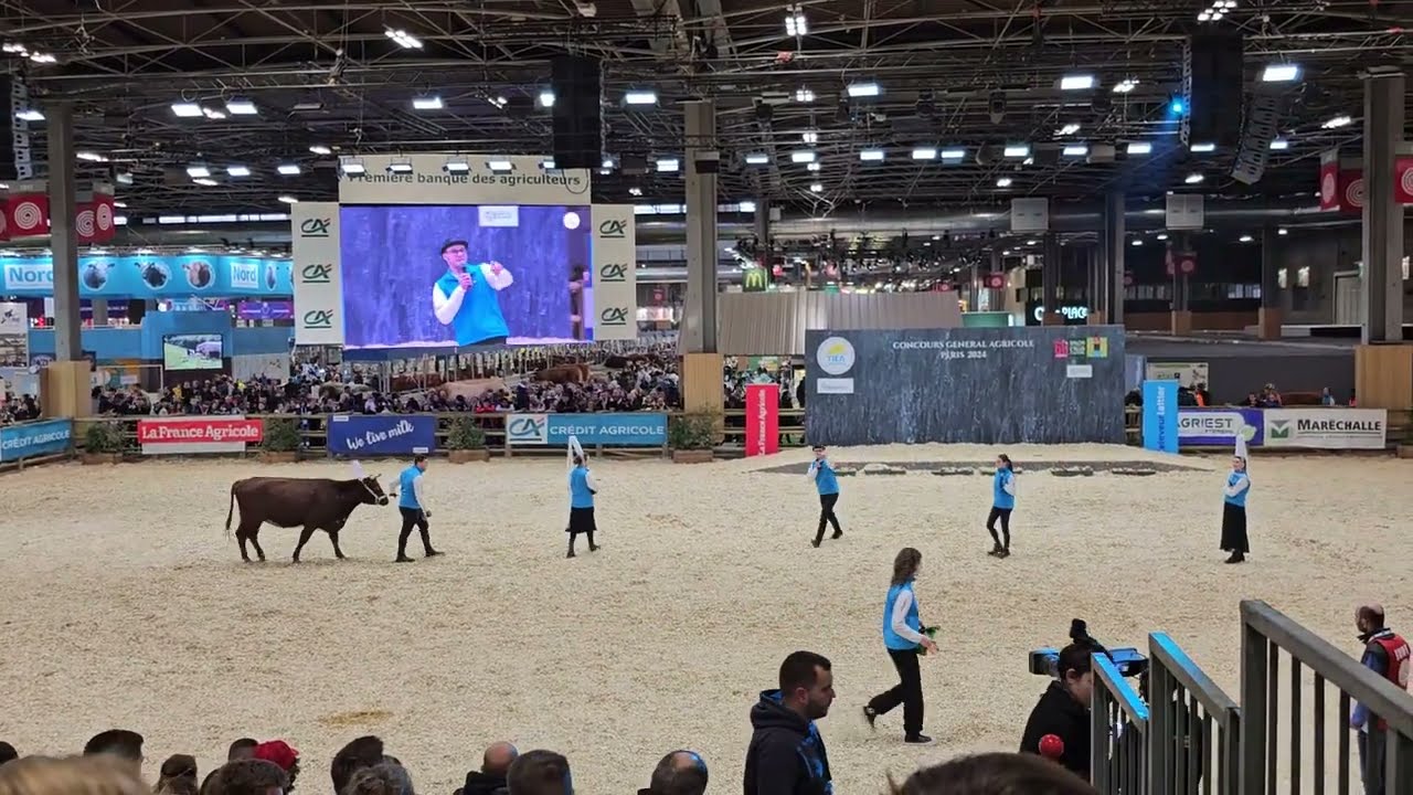 TIEA 2024 Grand ring