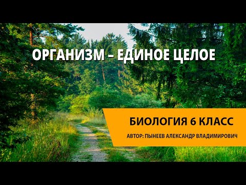 Организм – единое целое