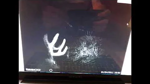 Utah’s general season buck deer 2018