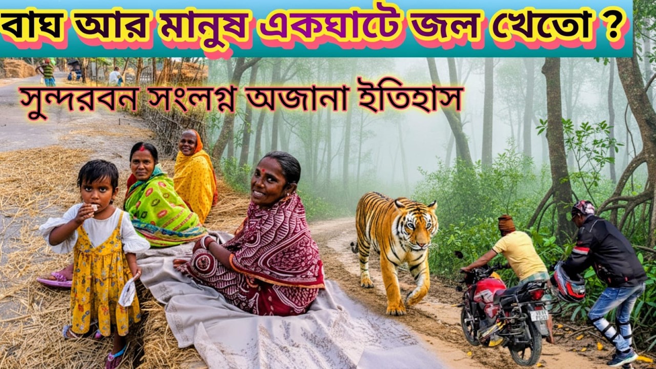 16 February 2026​ বাঘে-মানুষে এক ঘাটে জল খাওয়ার আসল রহস্য! | সুন্দরবনের অজানা ইতিহাস.