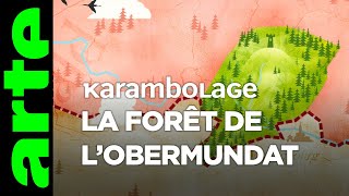 La forêt de l'Obermundat - Karambolage - ARTE
