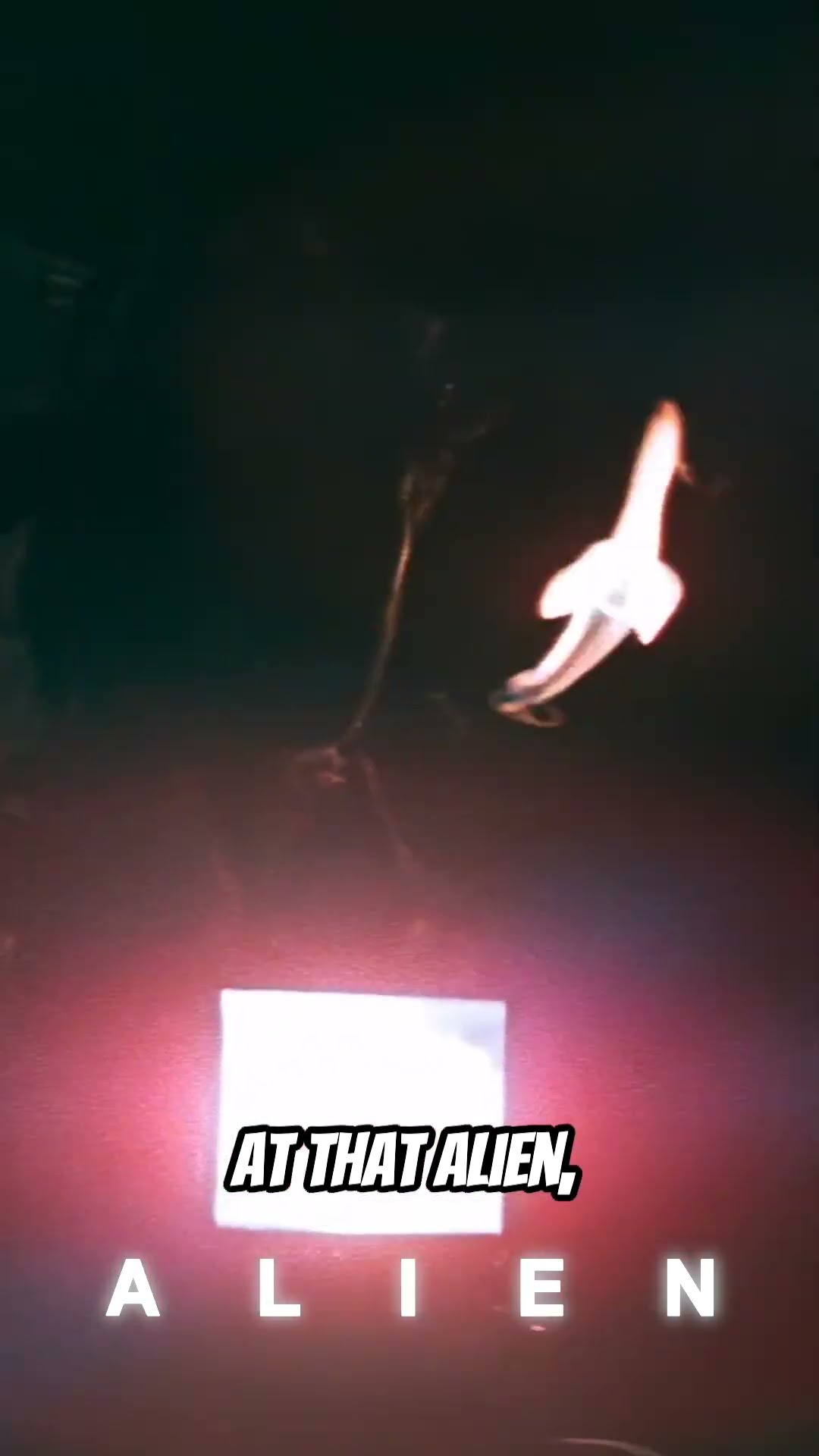 Sometimes an Alien Head Is Just an Alien Head | Alien (1979) | Now Playing Podcast