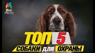 ⁣Топ 5 собаки для охраны\Top 5 dogs to guard