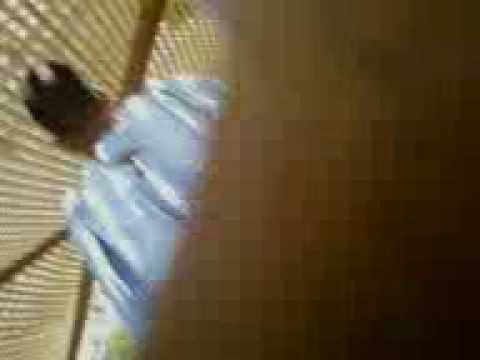 فيديو إعتداء طلاب زنوج علي أثناء مظاهرات التعريب 