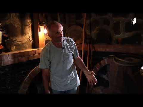 Lost in Vine - ვაზში დაკარგულები:  Part 5