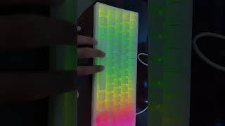 Miami theme m67 Jadestone