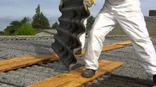 Mold Removal | East Hampton, CT - AA Asbestos Abatement LLC