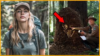 картинка: Рейнджер Нашёл 2-метровый Муравейник в лесу Олимпик — То, что внутри, Раскрыло тайну 5 лет...
