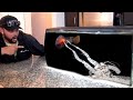GIANT Spearing MANTIS SHRIMP EATS on Camera! *Never Before Seen*