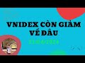 VNIDEX CÒN GIẢM VỀ ĐÂU ?