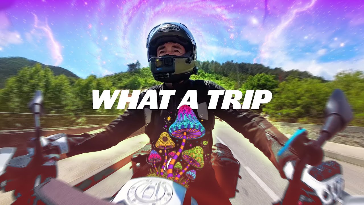 Motorcycles vs Mushrooms | My Psychedelic Assisted Therapy Experience