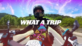 Motorcycles vs Mushrooms | My Psychedelic Assisted Therapy Experience