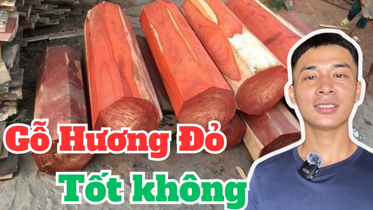 Cách nhận biết gỗ Hương Đỏ , Gỗ HƯƠNG ĐỎ NAM PHI có tốt không |Đồ gỗ Gia Vũ