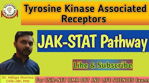 Tyrosine Kinase Associated Receptors# JAK-STAT Pathway by Dr. Aditya Sharma CSIR-JRF PHD