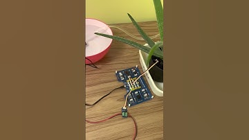 EECS 1011 Minor Project