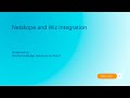Netskope and Wiz Integration