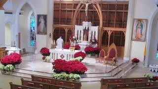 2nd Sunday in Ordinary Time, Jan. 18, 2026, 10:00 a.m. Mass